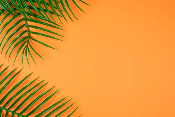 熱帯緑の葉は橙色の背景につきます。トップ表示. — ストック写真