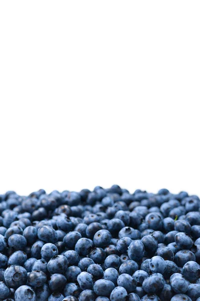 Fresh blueberry background. Texture blueberry berries close up. — Stock Photo, Image