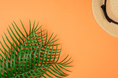 Yaz şapkası turuncu arka planda yeşil yaprağın üzerinde duruyordu.. 