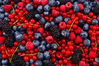 Böğürtlen, ahududu, yaban mersini, kırmızı frenk üzümü ve Mint backgrou