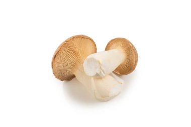 Shitake, eringi lezzetli mantar beyaz arka planda izole. 
