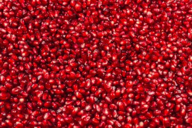 Noel süslemesi, kırmızı top beyaz arka planda izole.