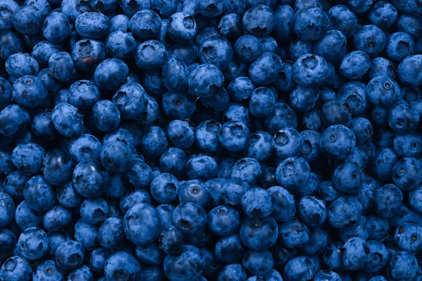 Färsk blåbär bakgrund. Textur blåbär närbild. — Stockfoto
