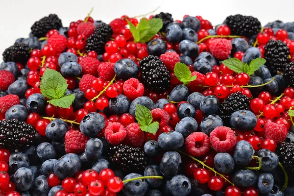 Blackberry, lampone, mirtillo, ribes rosso e menta backgrou — Foto Stock