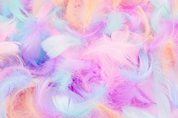 Fondo de plumas coloridas — Foto de Stock