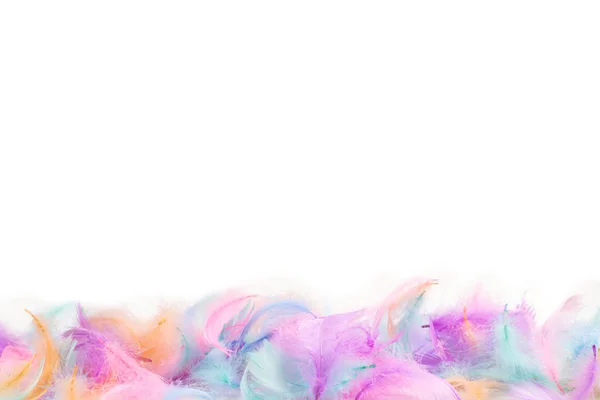 Цветной фон из перьев, изолированный на белом . — стоковое фото