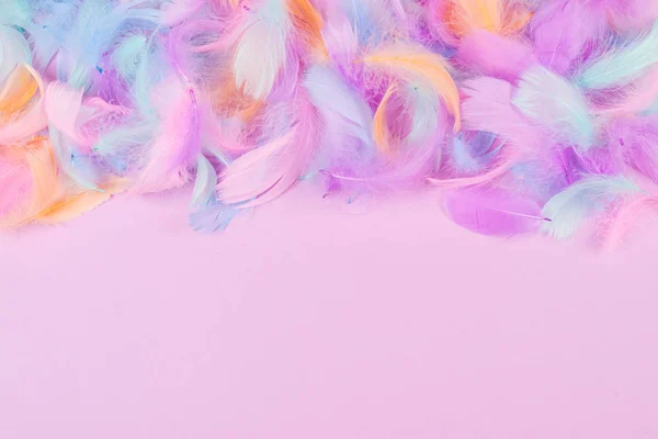 Fondo de plumas coloridas —  Fotos de Stock