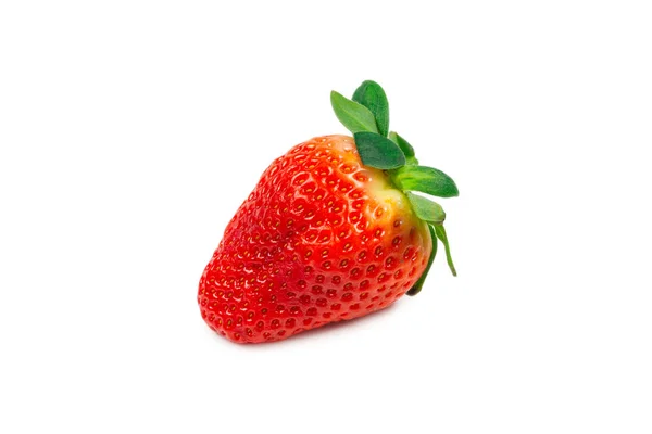 Erdbeere. Frische Beeren. — Stockfoto