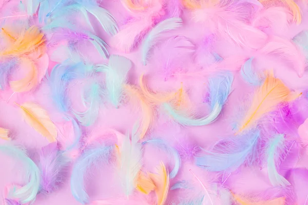 Fondo de plumas coloridas — Foto de Stock