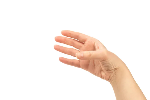 Рука Жінки Ізольована Білому — стокове фото