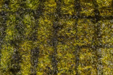 Nori yosunu beyazın üzerinde izole edilmiş. Üst görünüm