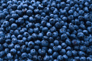 Taze yaban mersini arkaplanı. Doku yaban mersini yakından geliyor..