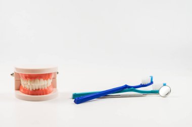 Çene düzeni ve cep aynası beyaza izole edilmiş. Boşluğu kopyala.