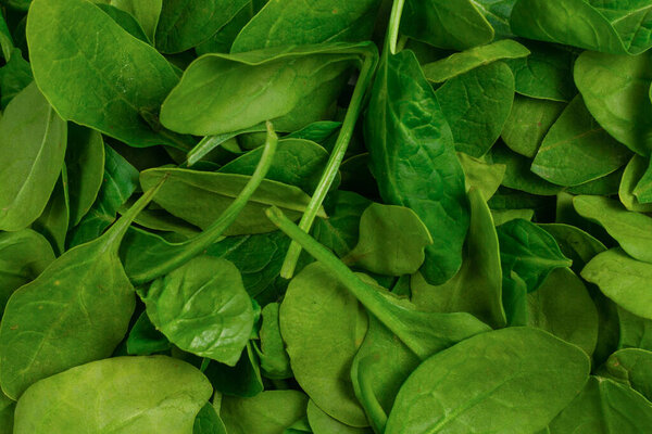 Fresh spinach leaves as background. Top view. 