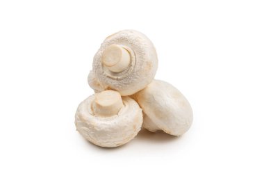 Şampiyon mantarı beyaz arka planda izole edilmiş. Üst görünüm. 