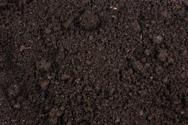 Bitkiler için kara toprak. Üst görünüm. 