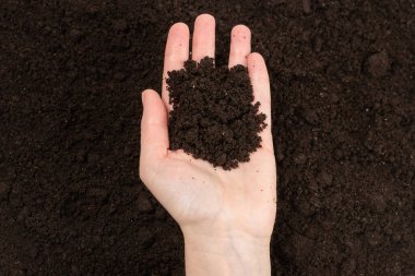 Kadın el ele tutuşuyor. Üst görünüm. 