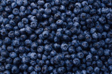 Taze yaban mersini arkaplanı. Doku yaban mersini yakından geliyor..