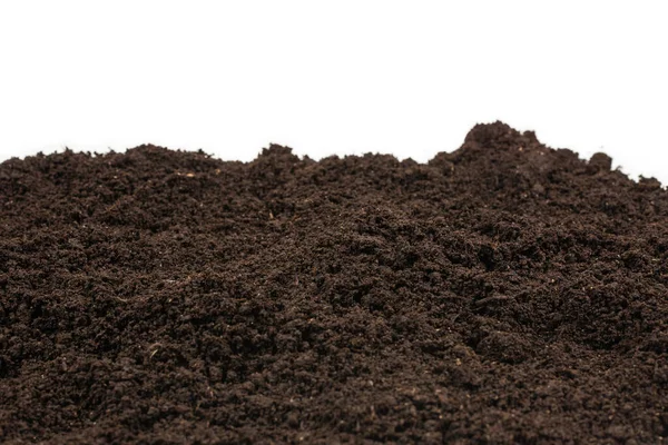 Bitkiler için kara toprak. Üst görünüm. 