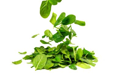 Arka plan olarak taze ıspanak yaprakları. Üst görünüm. 