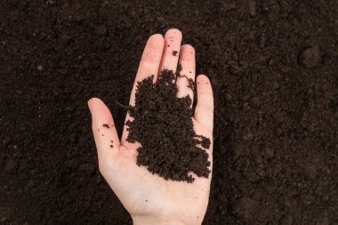 Kadın el ele tutuşuyor. Üst görünüm. 