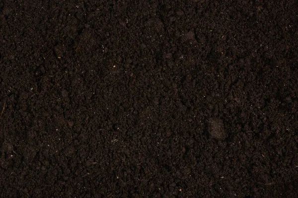 Fekete Föld Növényi Háttérnek Felülnézet — Stock Fotó