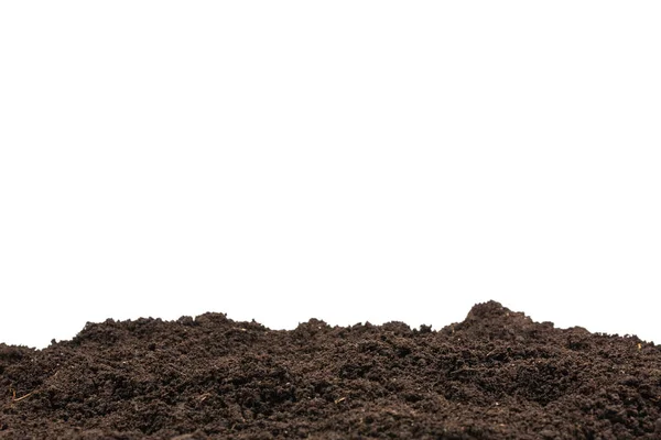 Black Land Plant Background Top View — Stock Photo, Image