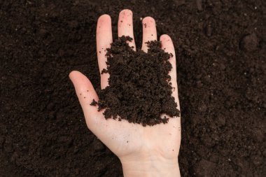 Kadın el ele tutuşuyor. Üst görünüm. 