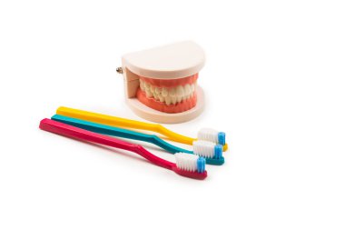 Çene düzeni ve cep aynası beyaza izole edilmiş. Boşluğu kopyala.