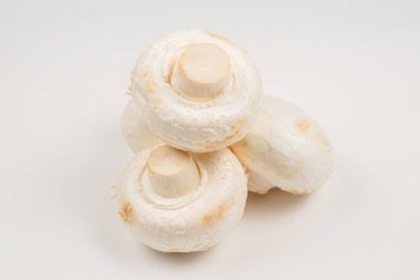 Şampiyon mantarı beyaz arka planda izole edilmiş. Üst görünüm. 