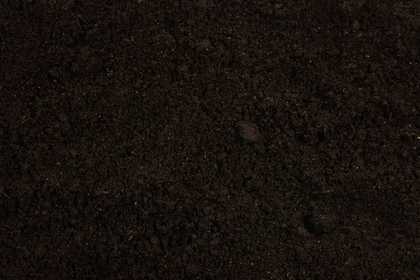 Bitkiler için kara toprak. Üst görünüm. 