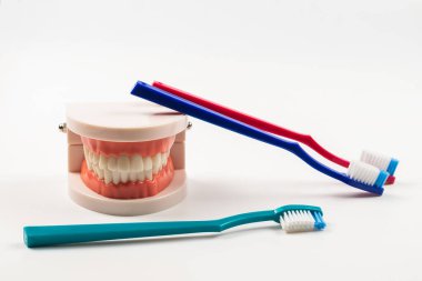 Çene düzeni ve cep aynası beyaza izole edilmiş. Boşluğu kopyala.