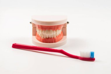 Çene düzeni ve cep aynası beyaza izole edilmiş. Boşluğu kopyala.