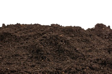 Bitkiler için kara toprak. Üst görünüm. 