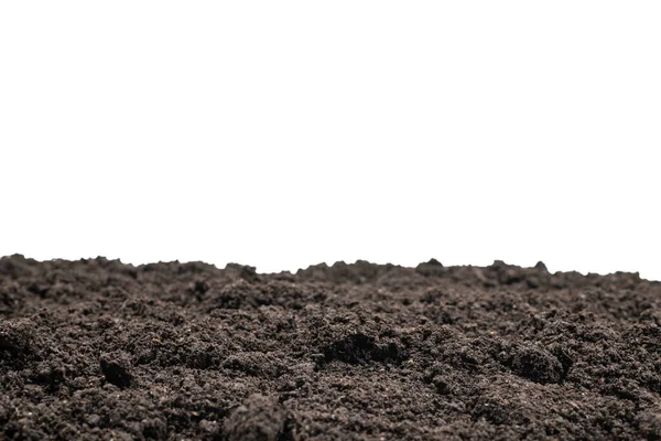 Black Land Plant Background Top View — Stock Photo, Image