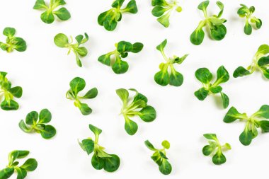 Beyaz arka planda püre salatası. Üst görünüm. 