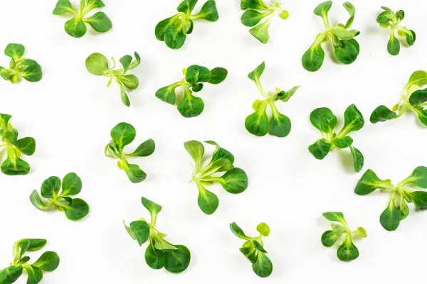 Mash Salad White Background Top View — Stock Photo, Image