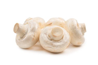 Şampiyon mantarı beyaz arka planda izole edilmiş. Üst görünüm. 
