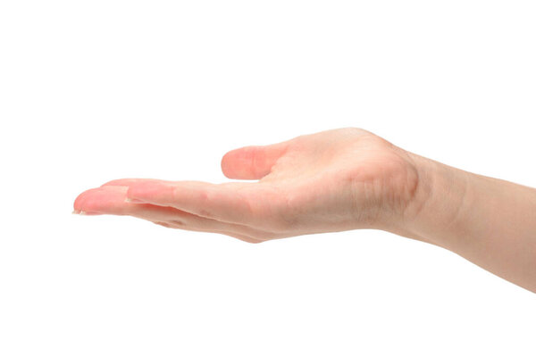 Hand of woman isolated on white. Copy space. 