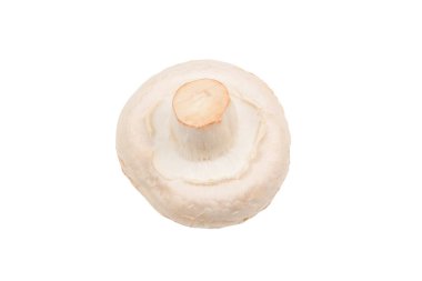 Şampiyon mantarı beyaz arka planda izole edilmiş. Üst görünüm. 