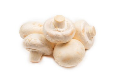 Şampiyon mantarı beyaz arka planda izole edilmiş. Üst görünüm. 