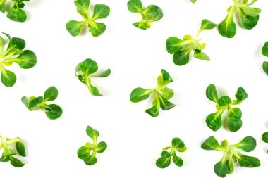 Beyaz arka planda püre salatası. Üst görünüm. 