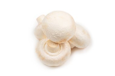 Şampiyon mantarı beyaz arka planda izole edilmiş. Üst görünüm. 