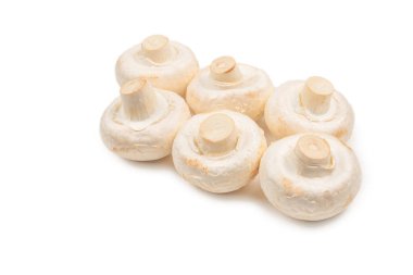 Şampiyon mantarı beyaz arka planda izole edilmiş. Üst görünüm. 