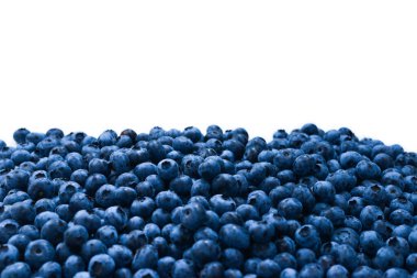 Taze yaban mersini arkaplanı. Doku yaban mersini yakından geliyor..