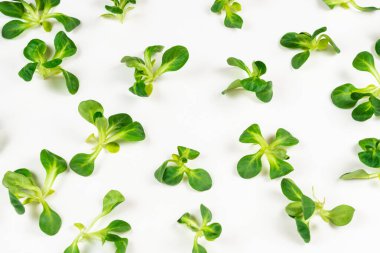 Beyaz arka planda püre salatası. Üst görünüm. 