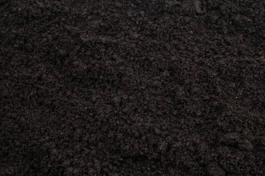 Bitkiler için kara toprak. Üst görünüm. 