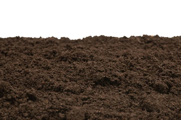 Beyaz arka planda izole edilmiş bitkiler için kara toprak. Üst görünüm. 