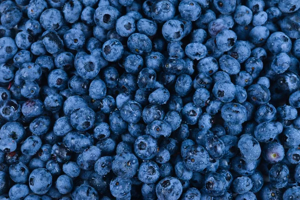 Fresh Blueberry Background Texture Blueberry Berries Close — Stock Photo, Image