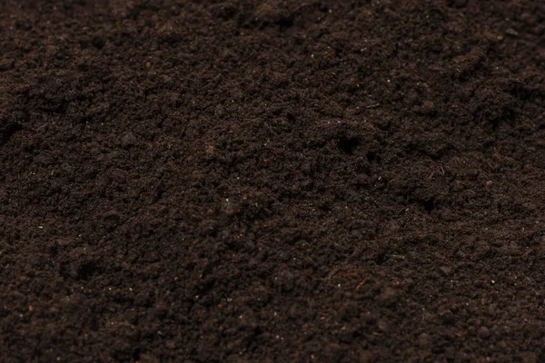 Black Land Plant Background Top View — Stock Photo, Image